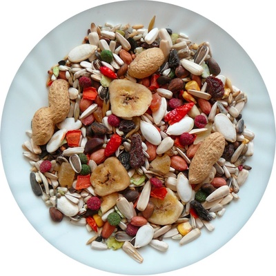 Avicentra Deluxe Veľký Papagáj 3 kg
