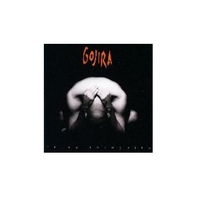 GOJIRA - TERRA INCOGNITA LP