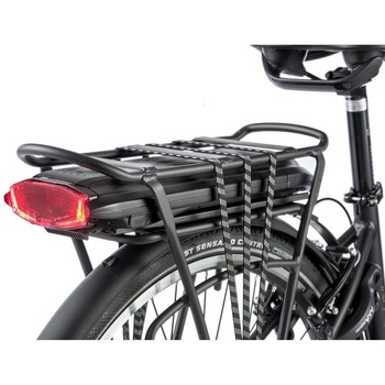 Leader Fox Park City 2022