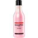 Stapiz Basic Salon Fruity šampon pro každodenní použití Natural Fruit Extract Gives Shine and Conditions the Hair from the Follicles. 1000 ml