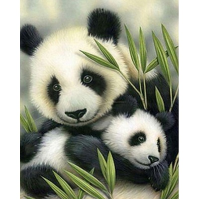 Malování podle čísel Panda a mládě