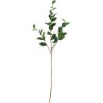 Bloomingville Изкуствен евкалипт (височина 110 cm) Eucalyptus - Bloomingville (82072850)