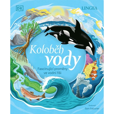 Koloběh vody