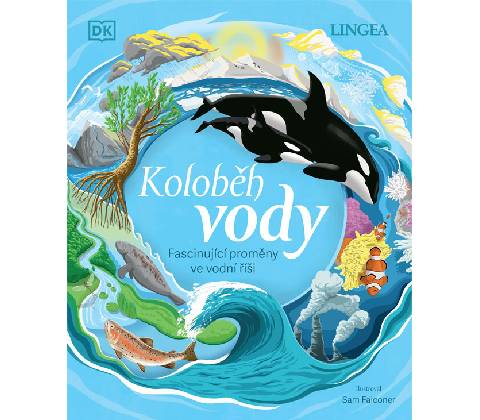 Koloběh vody