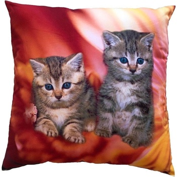 Dadka vankúš Mačiatka v ohni 40x40