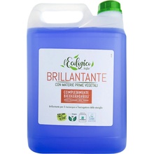 L’ECOLOGICO BRILLANTANTE 5 l