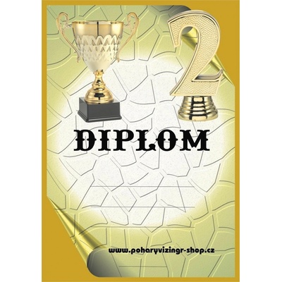 VIZINGR Diplom A4 Dč.52