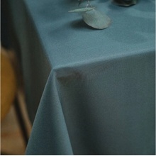 Today obrus Essential 100% polyester Paon 150x250cm