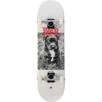 Arbor Street Revert Puppy