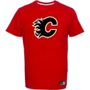 Calgary Flames Team Logo