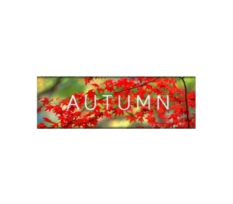 Autumn