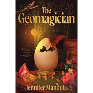 The Geomagician (ISBN: 9781529954005)