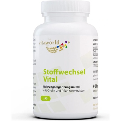 vitaworld Метаболизъм Формула 90 капсули | Vita World (18173623 VW)