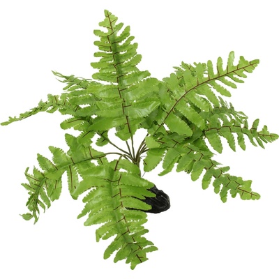 Repti Planet rastlina Nephrolepis 20 cm