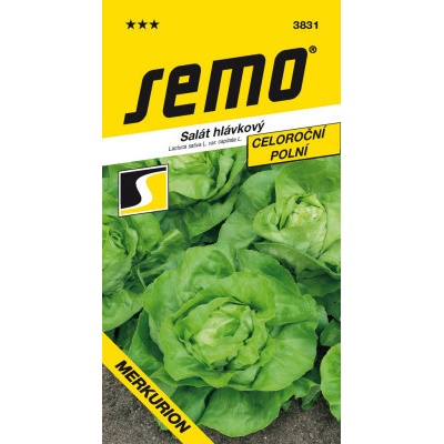 Semo Šalát celoročná - Merkurion PROFI poľné 0,6g