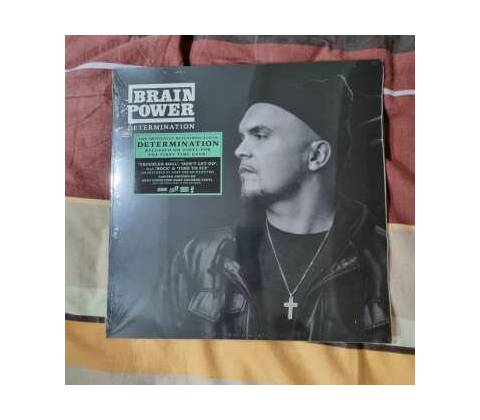 BRAINPOWER - DETERMINATION LP