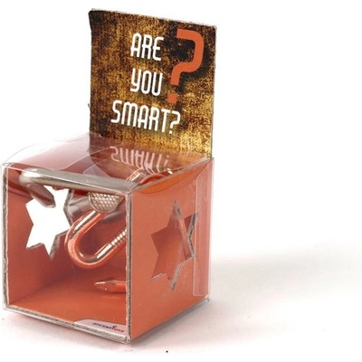Mindok Are you Smart RECENTTOYS