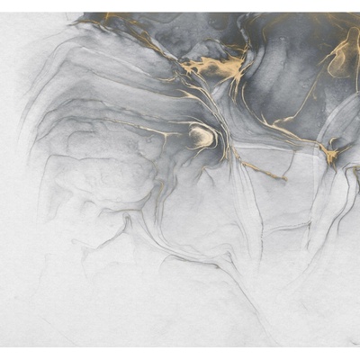 Komar Vliesová fototapeta Ink Gold Fluid rozměry 300 x 280 cm