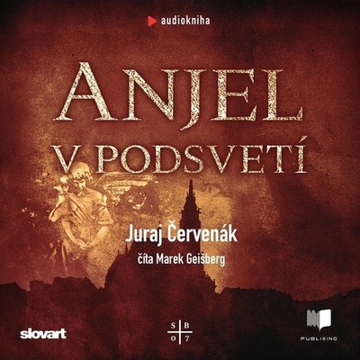 Anjel v podsvetí (Barbarič a Stein 7)