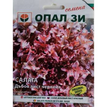 Image 1 of Opal Zi Салата Дъбов лист (червена)