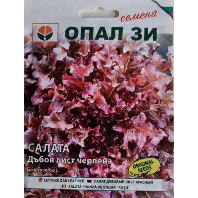 Opal Zi Салата Дъбов лист (червена)