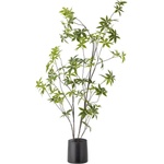 Bloomingville Изкуствено растение (височина 160 cm) Palmatum - Bloomingville (82072830)