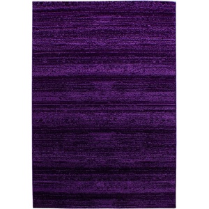 Ayyildiz Тъмнолилав килим 160x230 cm Plus - Ayyildiz Carpets (PLUS1602308000LILA)
