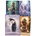 PRACTICAL MAGIC AN ORACLE FOR EVERYDAY E