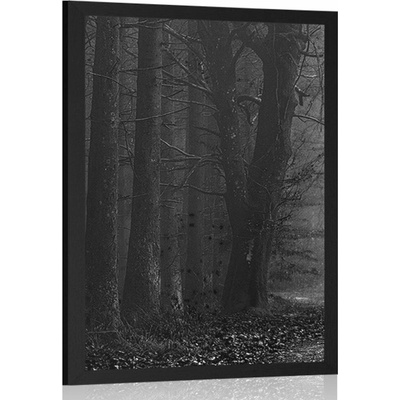 Plakát těsta v lese v černobílém provedení - 40x60 no frame