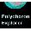 Polychoron Explorer
