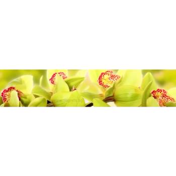 Image 1 of Пано Орхидея 10