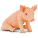 CollectA Prosię siedzące S