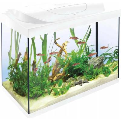 Tetra 319714 61 x 32 x 51 cm, 80 l