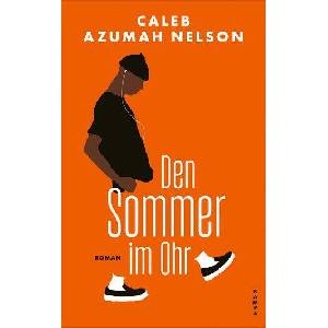 Den Sommer im Ohr (ISBN: 9783311100522)