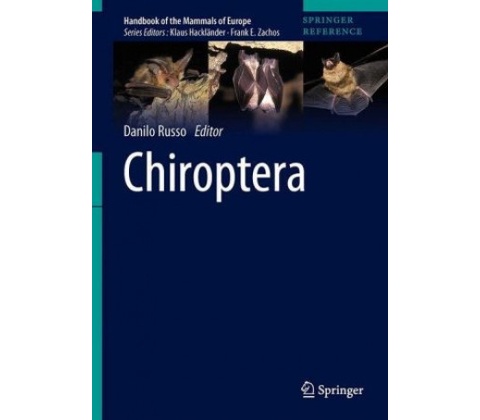 Chiroptera