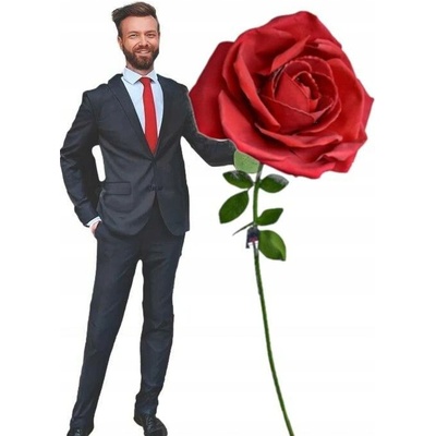 STABILIZOVANÁ RŮŽE XXL UMĚLÁ RŮŽE 160 cm DÁREK K VALENTÝNU PRO DÍVKU