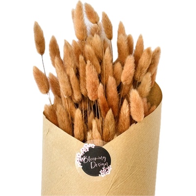 Sušený lagurus (králičí ocásek) terracotta 90g-95g