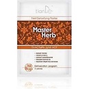 TianDe Master Herb detoxikačná náplasť na nohy 2 ks