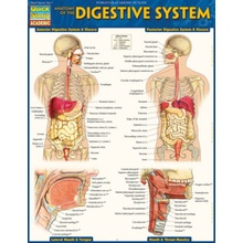 Anatomy of the Digestive System Quickstudy Laminated Reference Guide