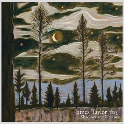 James Taylor - Shadows and Dreams (LP) (0676499088654)
