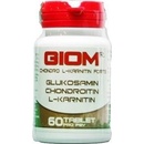 Giom ERA CHONDRO L-KARNITIN FORTE 60 tbl