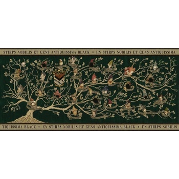 Ravensburger Panorama Harry Potter Rodokmen 2000 dílků