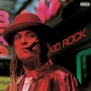 KID ROCK: DEVIL WITHOUT A CAUSE CD
