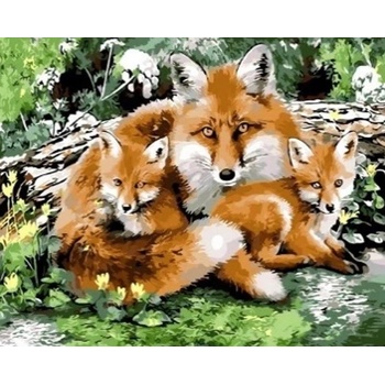 Norimpex - Puzzle Diamant painting: Fox family 30x40cm - 1 - 39 piese