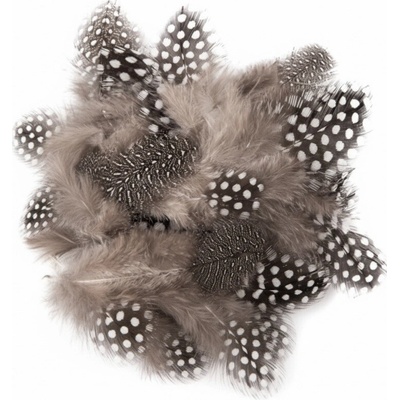 Dp Craft Peříčka 5 g křepelčí kropenatá – Zboží Dáma