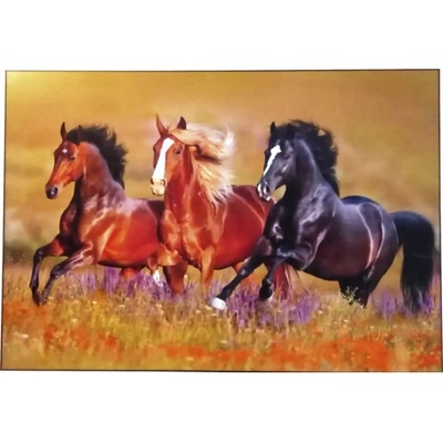 Moderný obraz putframe 70x100 cm Kone