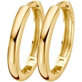 Blush Дамски обеци от жълто злато Blush 7271YGO (7271YGO)