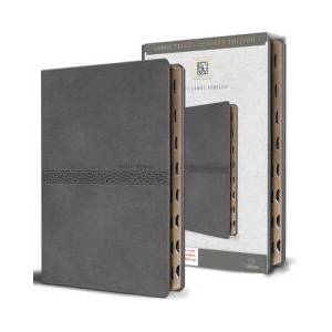 KJV Holy Bible, Large Print Medium Format, Gray Faux Leather W/Ribbon Marker, Red Letter, Thumb Index | Origin (ISBN: 9798890981844)
