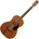 Fender PM-2