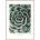 Styler Картина 50x70 cm Echeveria - Styler (OB-14051)